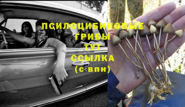 тгк Абинск