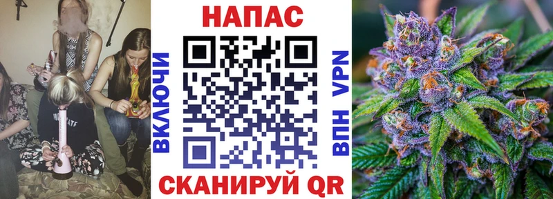Бошки Шишки OG Kush Туапсе